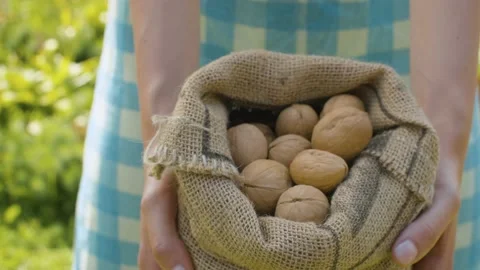 Walnuts in a burlap jute sack Stock Footage 137838666