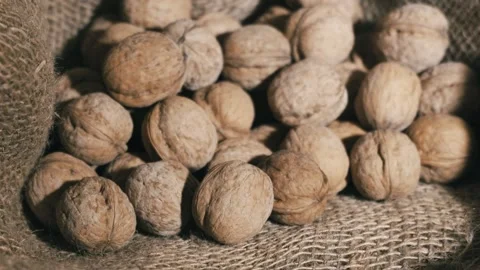 Walnuts in a canvas bag under the sun. smooth approach Stock Footage 153765705