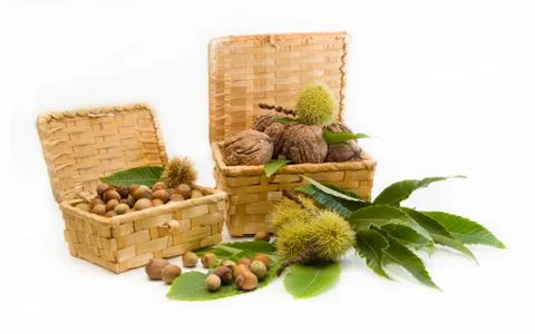 Walnuts, chestnuts, hazelnuts in a wicker basket Stock Photos