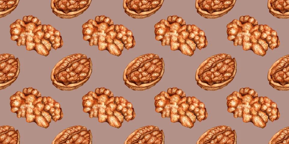 Walnuts chopped and kernels on a brown background in watercolor Illustrazione stock