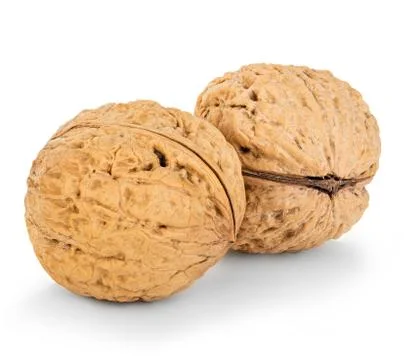 Walnuts close-up isolated on a white background Stock Photos