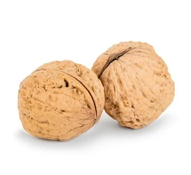 Walnuts close-up isolated on a white background Stock Photos