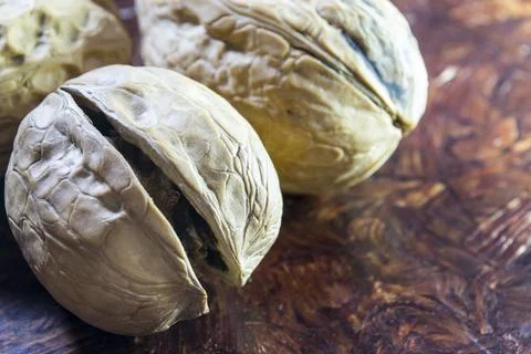 Walnuts close up, not peeled walnuts. Stock Photos