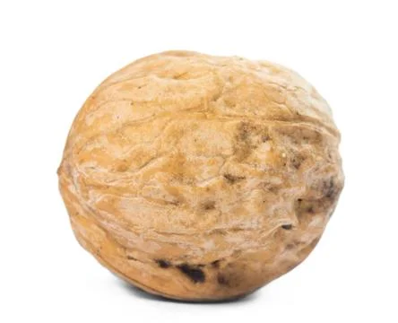 Walnuts close up Stock Photos