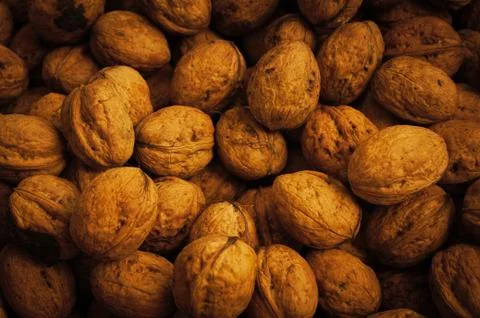 Walnuts close up Stock Photos