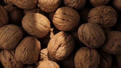 Walnuts. Close-up view of beam of sunlight passes over walnuts in shadow 動画素材 207953877