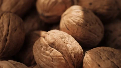 Walnuts. Close-up of walnuts in shadow on which ray of sunlight falls, camera Stockbeeldmateriaal 169631694