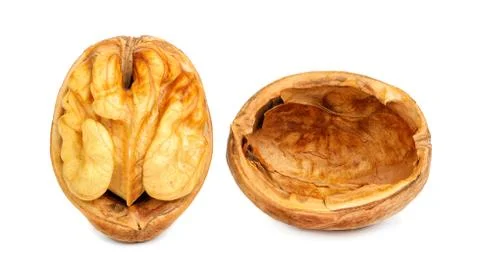 Walnuts closeup isolated on white Stock Photos