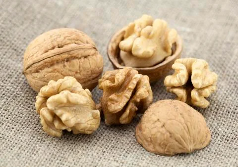 Walnuts closeup Stock Photos