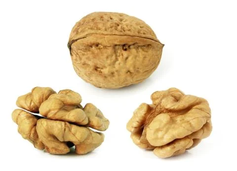 Walnuts in closeup with white background. Stock Photos
