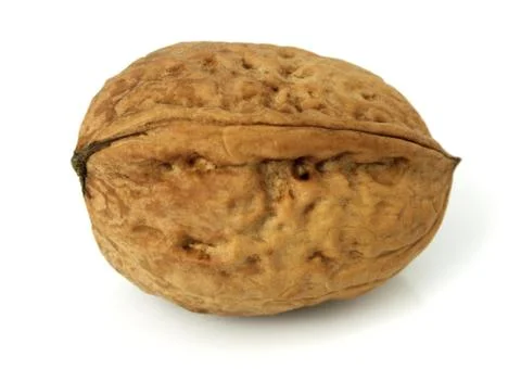 Walnuts in closeup with white background Stock Photos