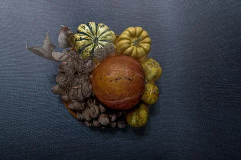 Walnuts Cucumbers and Pumpkins. Stock Photos