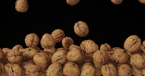 Walnuts Fall And Fill Screen. ProRes 4444 with alpha transparent background. Video stock 108577849