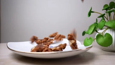 Walnuts falling onto a white plate next to a potted plant Stock Footage 318578483