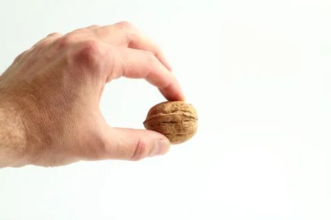 Walnuts food nut in hand on white background isolation Stock Photos
