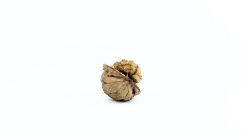Walnuts Stock Footage 86594534