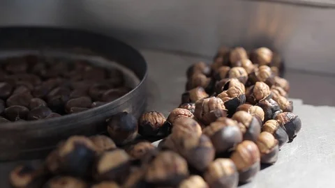 Walnuts Stock Footage 101634011