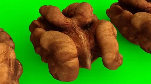 Walnuts with green background イラスト素材