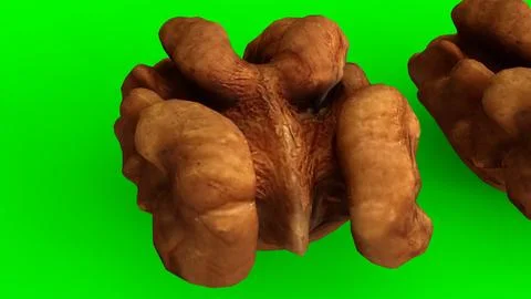 Walnuts with green background イラスト素材