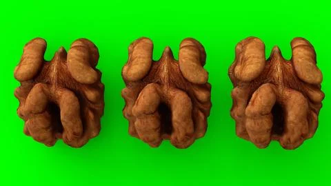 Walnuts with green background イラスト素材