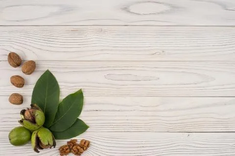 Walnuts in a green shell on an old white wooden table. Stock Photos