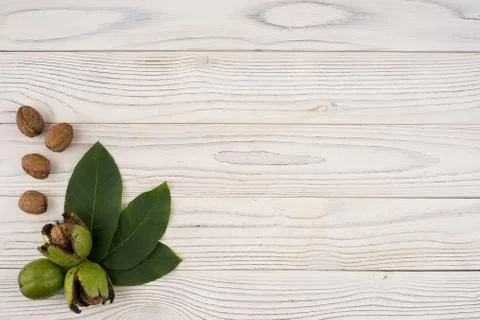 Walnuts in a green shell on an old white wooden table. Stock Photos