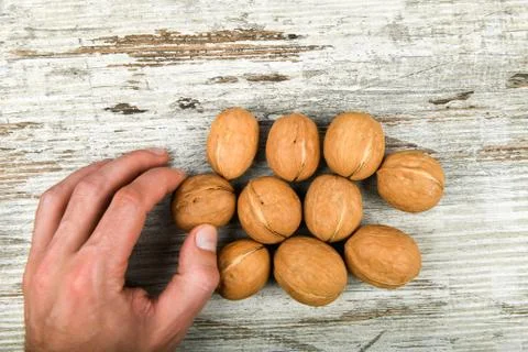Walnuts in the hands. Close up view of walnuts in her palm. Walnuts are 4 wat Stock Photos