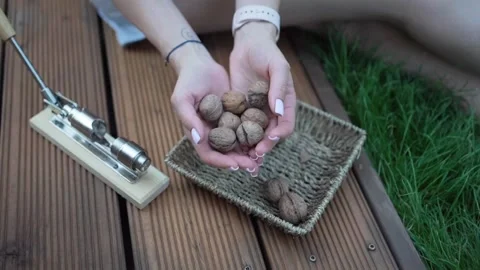 Walnuts in hands. Healthy peeled nuts. Female hand picking a walnut Stock Footage 246661353