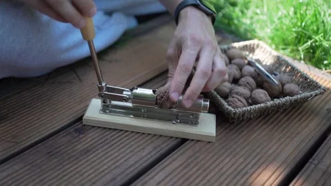 Walnuts in hands. Healthy peeled nuts. male hand picking a walnut Video stock 246661458