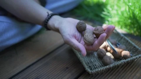 Walnuts in hands. Healthy peeled nuts. male hand picking a walnut Stock Footage 246661613