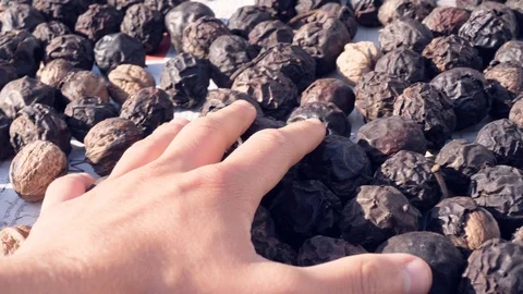 Walnuts that have been put to dry Vidéo 97143668