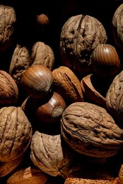 Walnuts, hazelnuts and almonds in shell, mixed together and isolated on black Stock Photos
