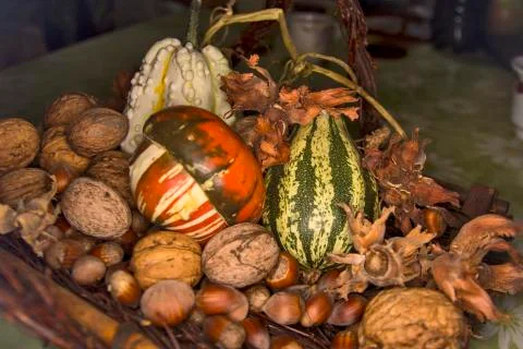 Walnuts, hazelnuts and decorative pumpkins Stock Photos