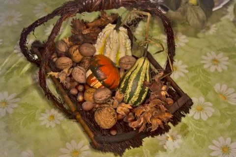 Walnuts, hazelnuts and decorative pumpkins Stock Photos
