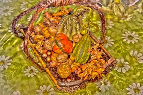 Walnuts, hazelnuts and decorative pumpkins Stock Photos