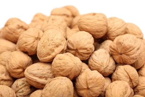 Walnuts heap Stock Photos