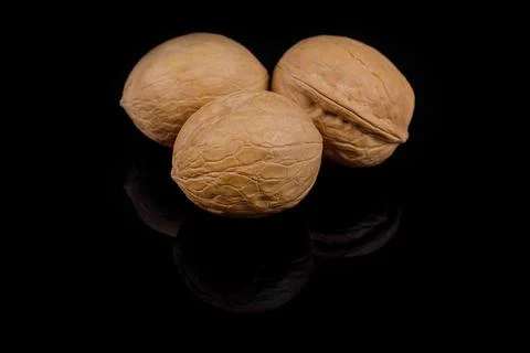 Walnuts isolated on black background with reflection Stock Photos