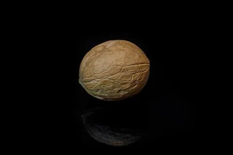 Walnuts isolated on black background with reflection Stock Photos