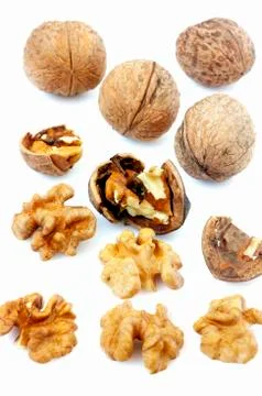 Walnuts isolated Stock Photos