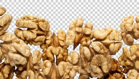 Walnuts. Isolated Stock Photos