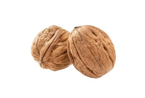 Walnuts  isolated. Set whole walnut. Stock Photos