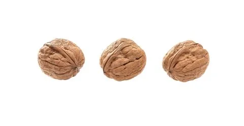Walnuts  isolated. Set whole walnut in a row. Stock Photos