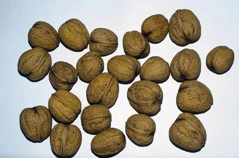 Walnuts isolated on white background. With clipping path. Stock Photos
