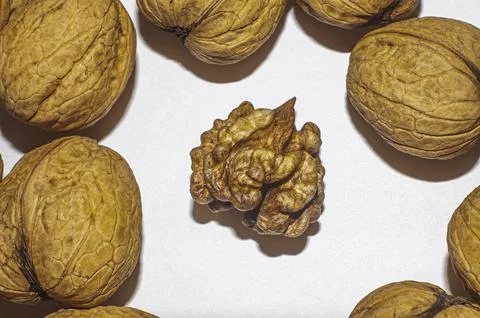Walnuts isolated on white background. With clipping path. Stock Photos