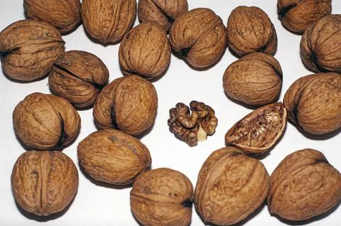 Walnuts isolated on white background. With clipping path. Stock Photos