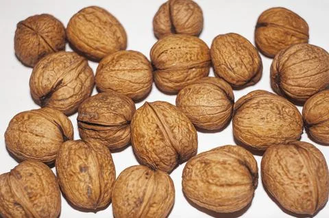 Walnuts isolated on white background. With clipping path. 写真素材