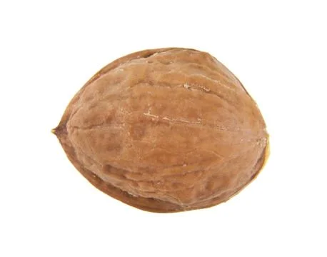 Walnuts isolated on white background close-up Stock Photos