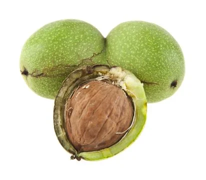 Walnuts isolated on white background closeup Stock Photos