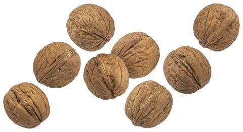 Walnuts isolated on white background, package design element Stock Photos