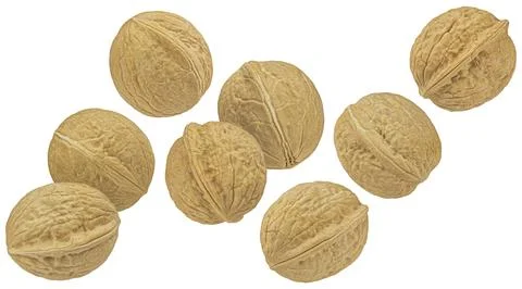 Walnuts isolated on white background, package design element Stock Photos